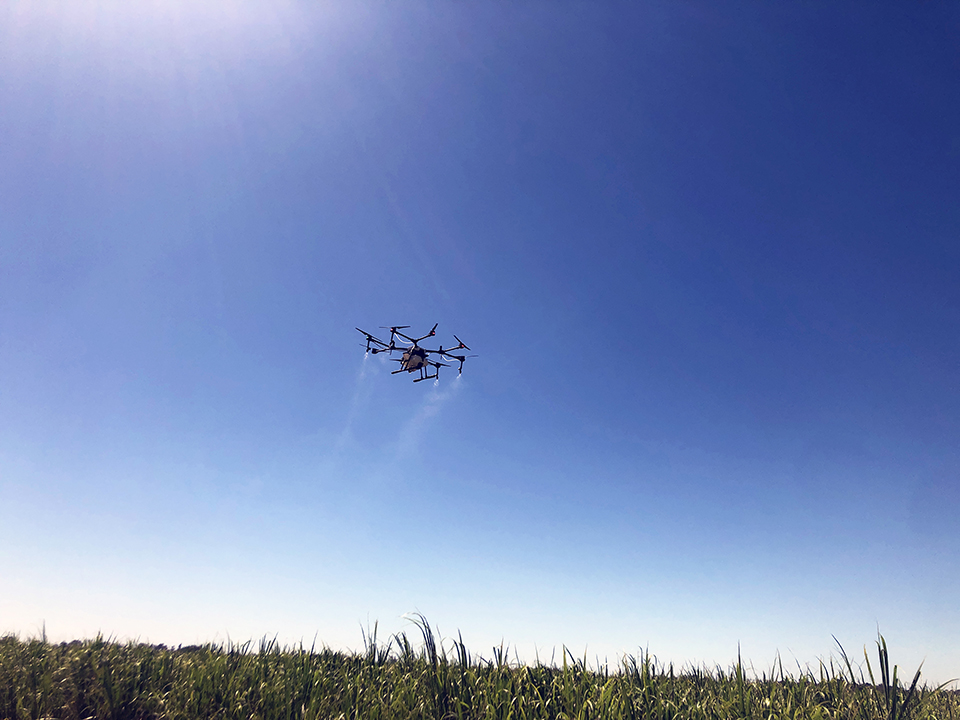 Drone in the sky with grassy field below.
